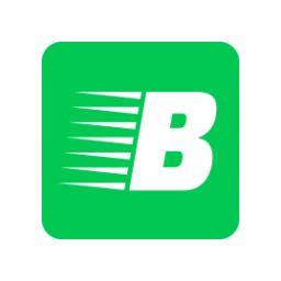 Логотип BAYLYQ