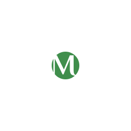 Логотип MaxMoney